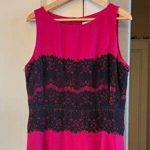 Bright and Beautiful Fuschia and Black Loft Dress-Size‎ 14
